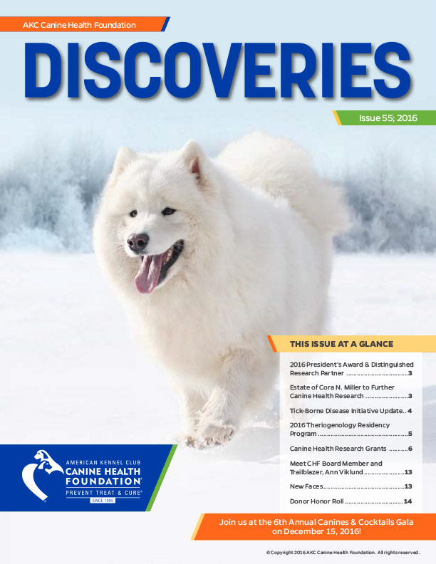 Discoveries 2016 Cover