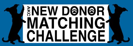 New Donor Matching Challenge