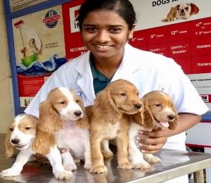 Photo of Dr. Koilpillai with a litter of puppies.