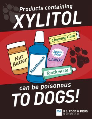 A graphic from the FDA noting that xylitol is poisonous to dogs.