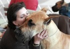 woman hugging a great dane