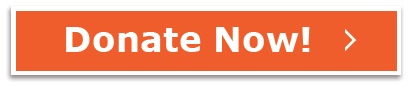 large-orange-donate-button