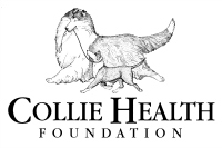 Collie Health Foundation