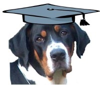 K9 College Logo