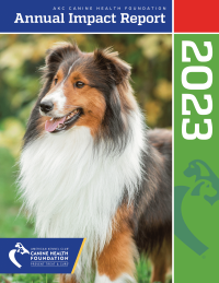 Cover of CHF's 2023 Annual Impact Report