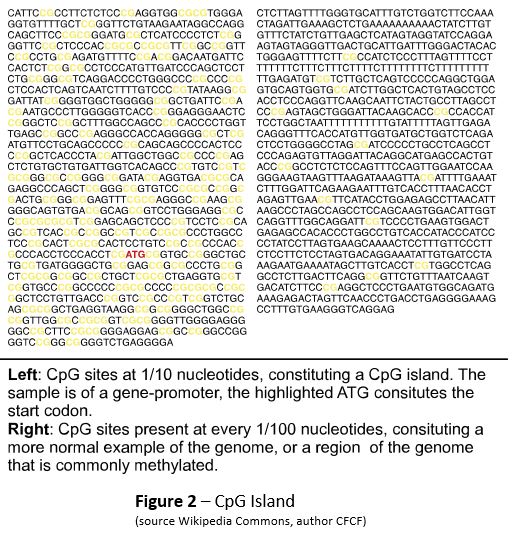 diagram of CpG island