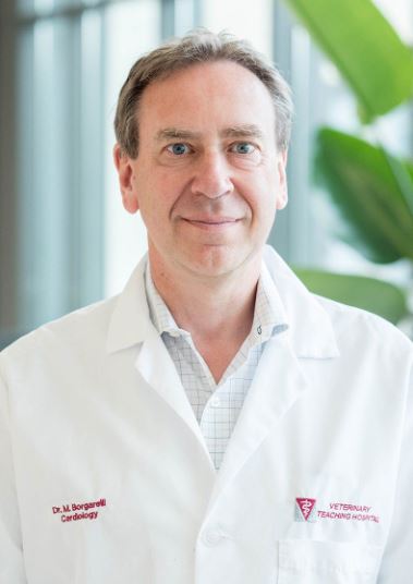 Dr. Michele Borgarelli