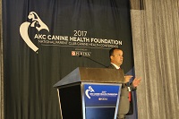 Dr Coutinho da Silva