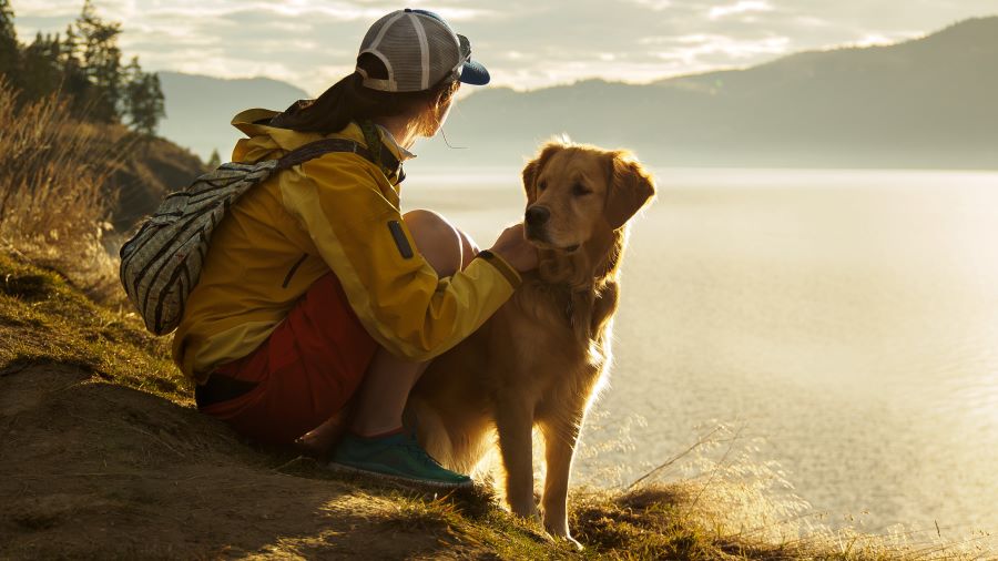 Photo of a woman and her Golden Retriever hiking on a mountain at sunset