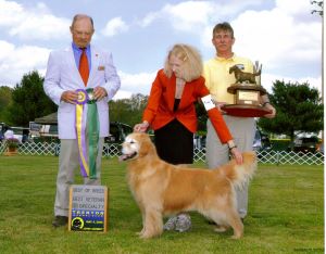 Photo of Rhonda Hovan showing her Golden Retriever, Pete