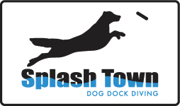 Splash Town logo