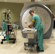 Canine Patient Prepares for MRI