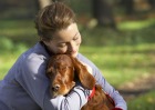 Woman hugging an Irish Setter