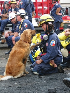 Bretagne and Corliss at WTC