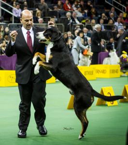 Photo of 'Gus' Copeland and Scott Sommer at Westminster