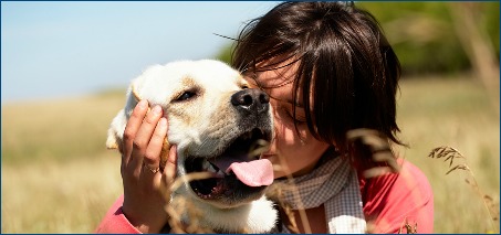 Woman Kissing Yellow Lab