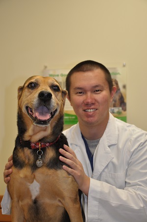 Dr. Takashi Taguchi, DVM