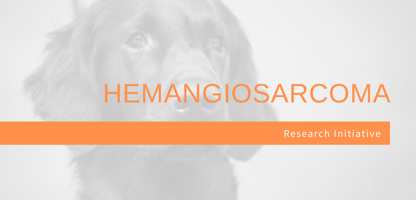 Hemangiosarcoma Initiative
