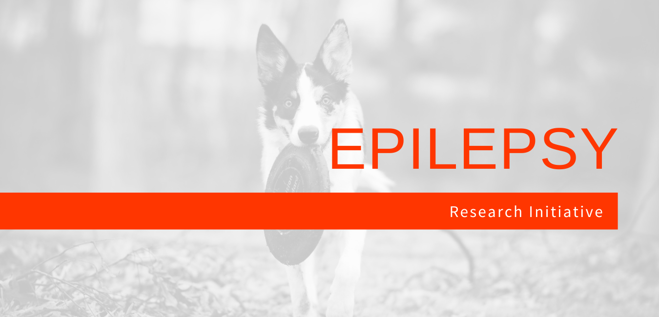 what is idiopathic epilepsy dogs