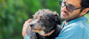 Hearts to Heal: Advancing Care at the Final Stage of Canine Heart Disease