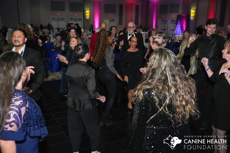 Canine-and-Cocktails-10