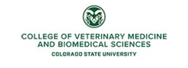 Colorado State University Logo