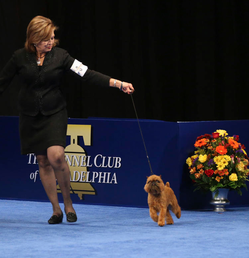 Kennel Club of Philadelphia