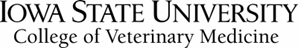 University of Iowa Logo