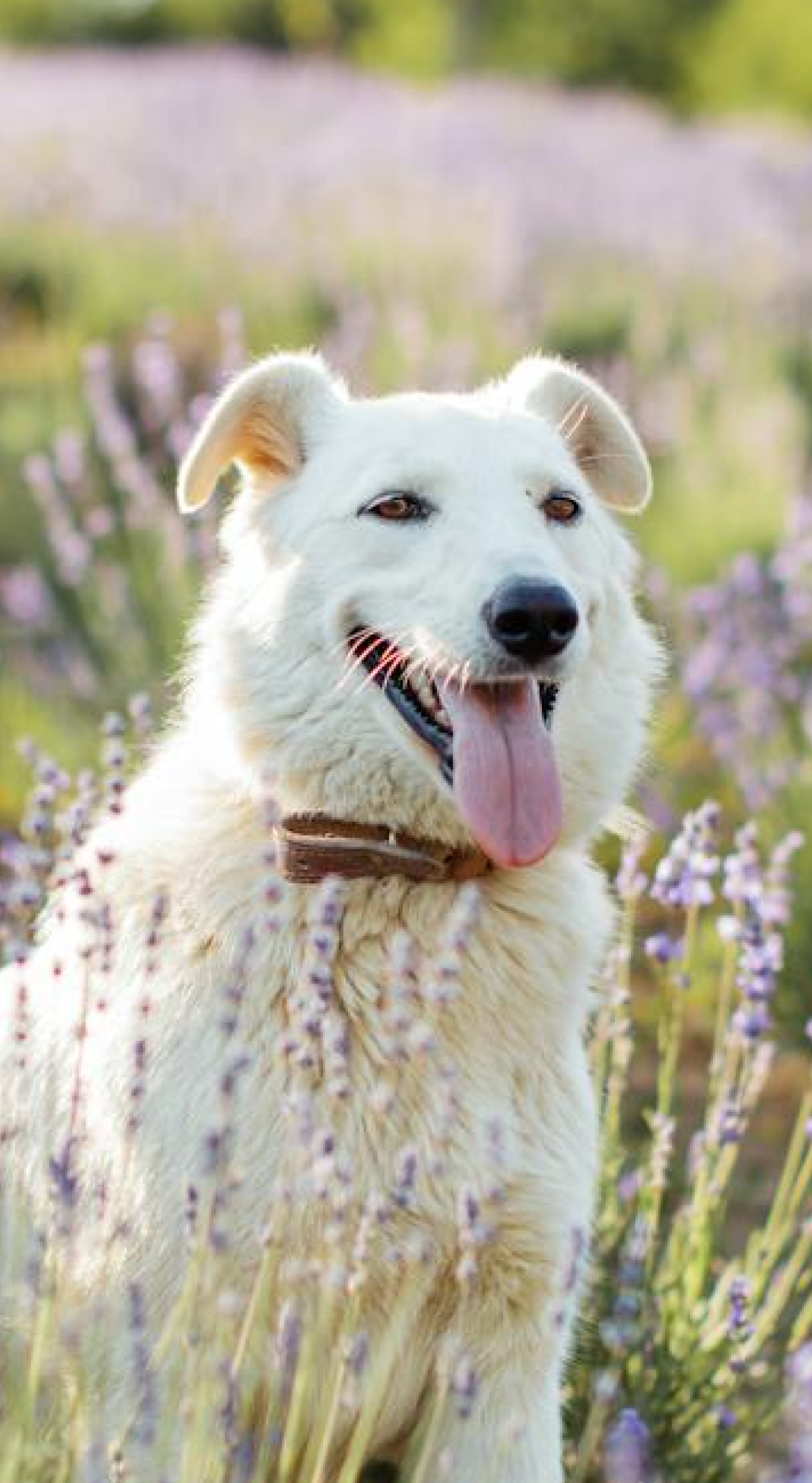 Groundbreaking Discoveries